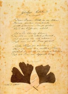 poesia Ginkgo Goethe